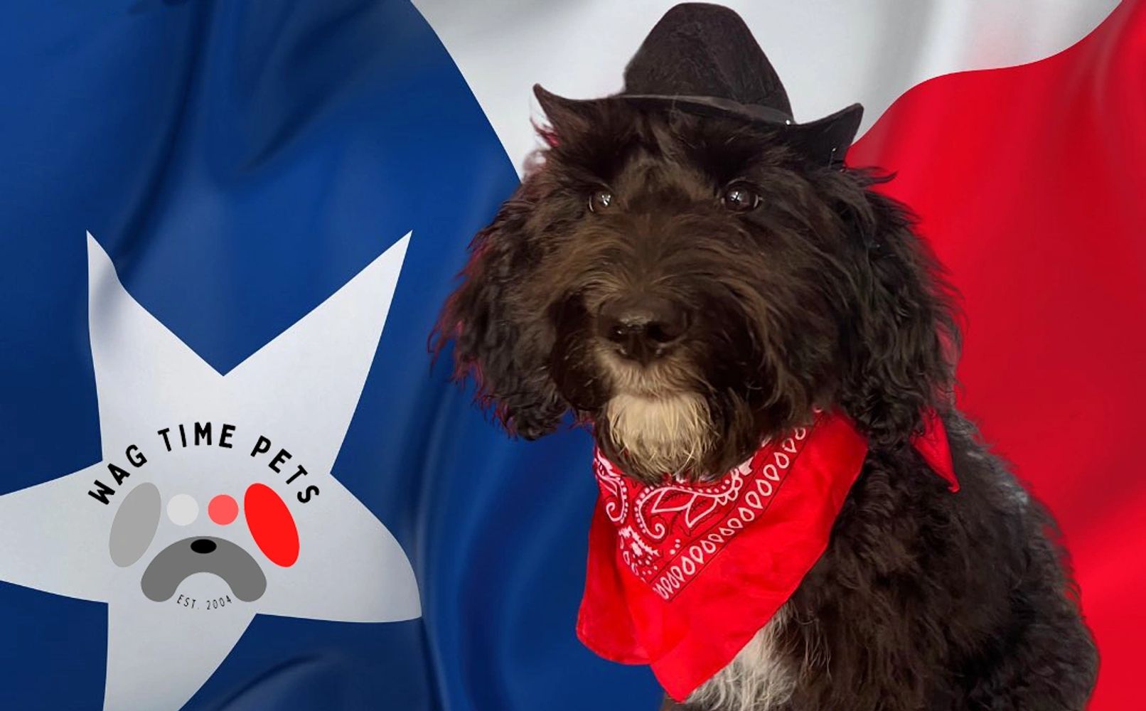 Dog, Dog Daycare, PetSitting Wag Time Pets Arlington, Texas